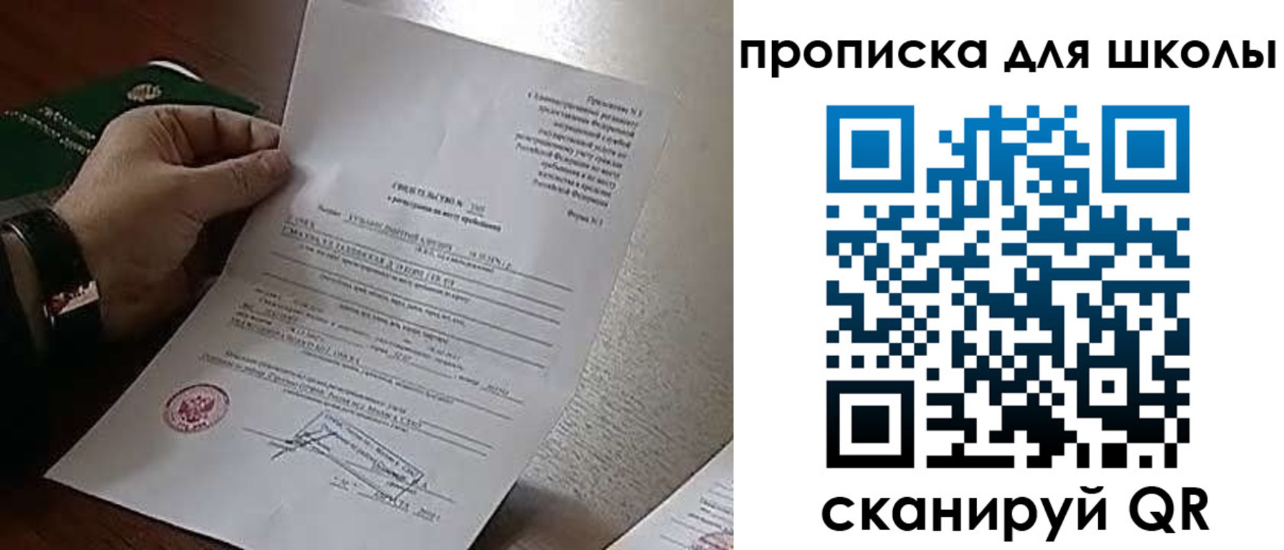 прописка ребенка в Оленегорске